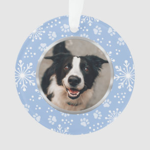 Adorno Foto del Mascota del patrón de paro de copo de nie