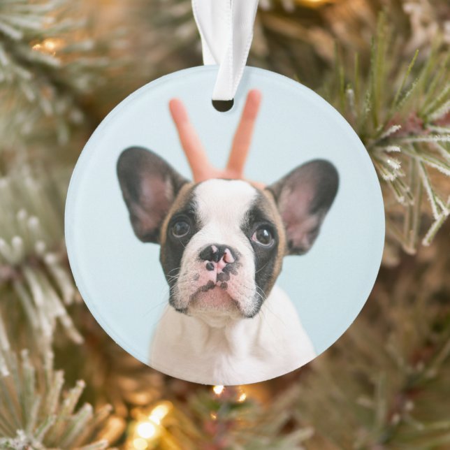Adorno Foto moderna de perro | Feliz Navidad (Árbol)