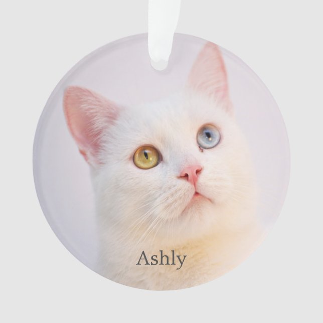 Adorno Foto personalizada de gato blanco personalizado (Anverso)