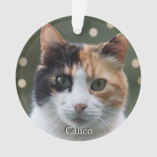 Adorno Foto personalizada de gato calico