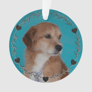 Adorno Foto personalizada de mascota con corazones Perro