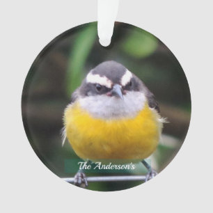 Adorno Foto personalizada de pájaro amarillo pecho lindo 