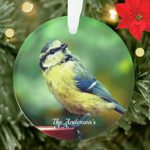 Adorno Foto personalizada de pájaro de pecho amarillo