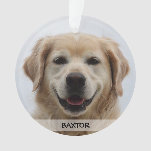 Adorno Foto personalizada del mascota del perro de (Anverso)
