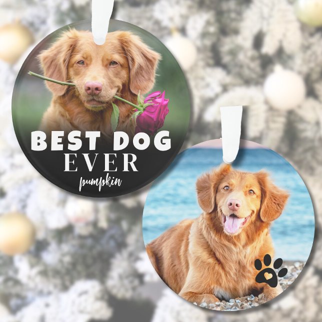 Adorno Foto personalizada del mejor perro lindo (Personalized Cute Best Dog Photo Ornament )