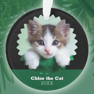 Adorno Foto personalizada verde y negra de gato en