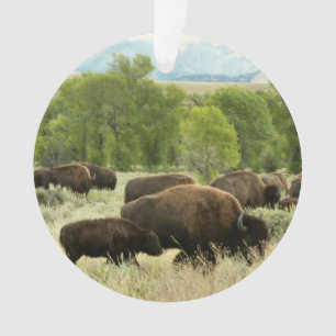 Adorno Fotografía de animales de la naturaleza de Wyoming