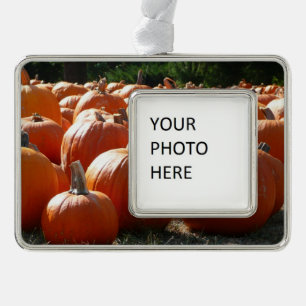 Adorno Fotografía de calabazas para Caída, Halloween o Dí