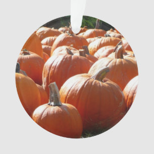 Adorno Fotografía de calabazas para Caída, Halloween o Dí