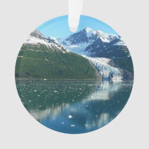 Adorno Fotografía de College Fjord I Hermosa Alaska