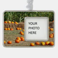 Fotografía de cosecha otoñal de calabazas, maíz y 