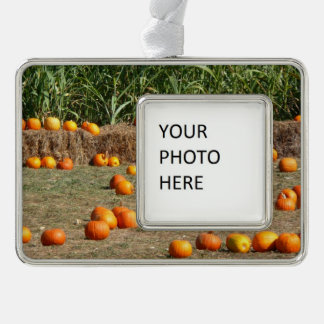 Adorno Fotografía de cosecha otoñal de calabazas, maíz y