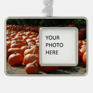 Adorno Fotografía de la cosecha de otoño en el parche de