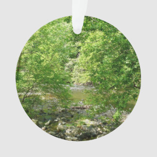 Adorno Fotografía de la naturaleza de Maryland con vistas