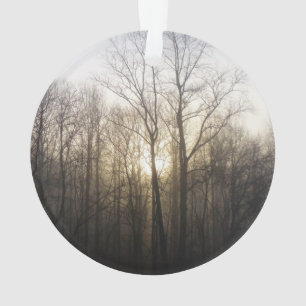 Adorno Fotografía de la naturaleza del amanecer de niebla
