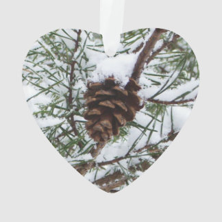 Adorno Fotografía de la naturaleza del invierno de Snowy