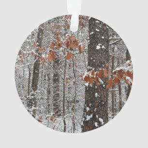 Adorno Fotografía de naturaleza invernal de robles cubier