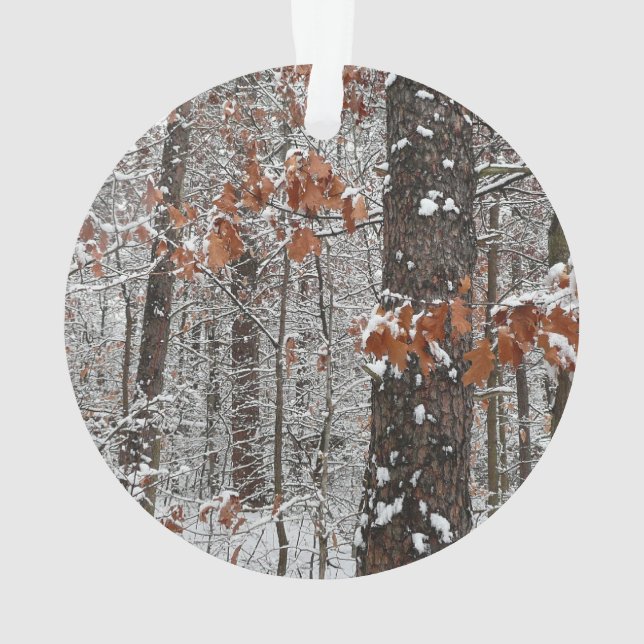 Adorno Fotografía de naturaleza invernal de robles cubier (Reverso)