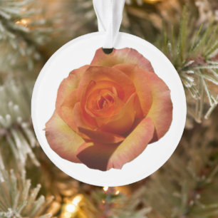 Adorno Fotografía de Peach Rosa Naranja Floral