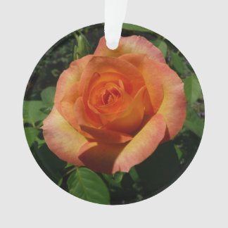 Adorno Fotografía de Peach Rosa Naranja Floral
