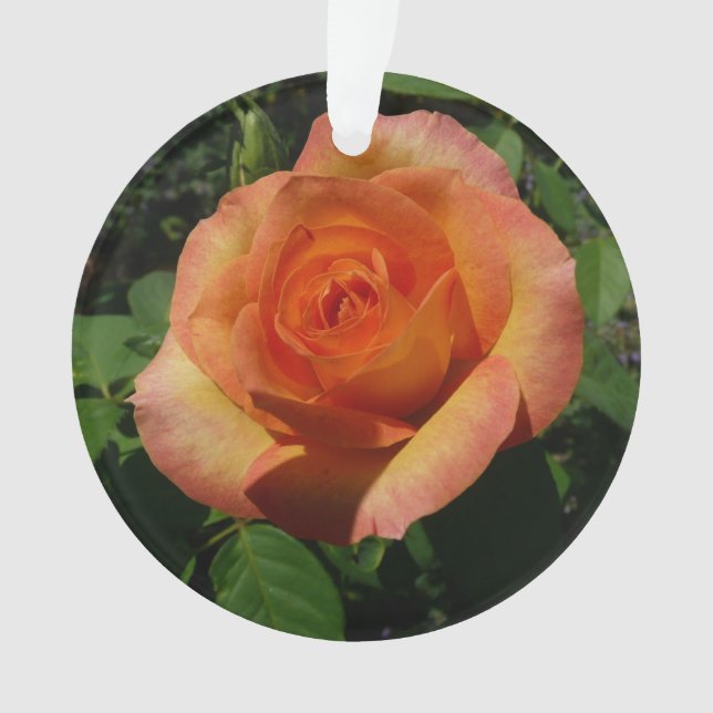 Adorno Fotografía de Peach Rosa Naranja Floral (Anverso)