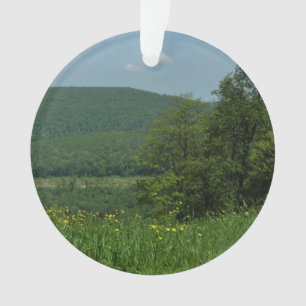 Adorno Fotografía de verano de Laurel Highlands Pennsylva