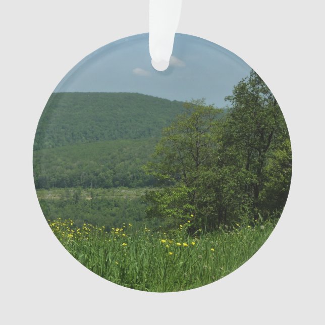 Adorno Fotografía de verano de Laurel Highlands Pennsylva (Anverso)