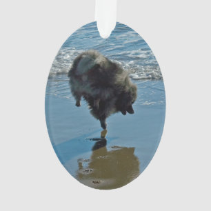 Adorno Fotografía del Ballet Keeshond - Arte de Perro Ori