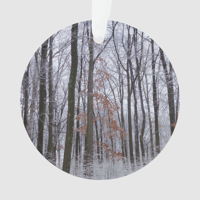 Adorno Fotografía del paisaje invernal de la nieve desech (Anverso)