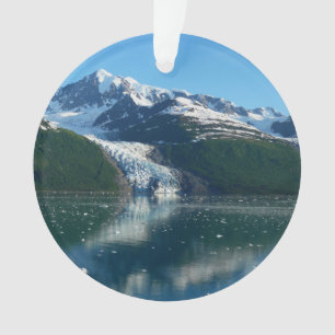 Adorno Fotografía Hermosa de Alaska College Fjord II