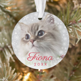 Adorno Fotograma moderno de Mascota fotográfico con papel