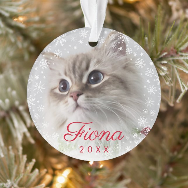 Adorno Fotograma moderno de Mascota fotográfico con papel (Árbol)