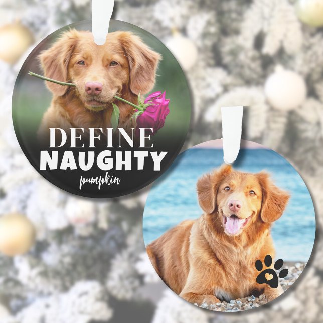 Adorno Fotos Divertidas de Mascotas en Navidad 2 (Cute Define Naughty Dog Photo Ornament)
