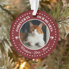 Adorno Fotos y nombres de gatos en memoria para siempre e