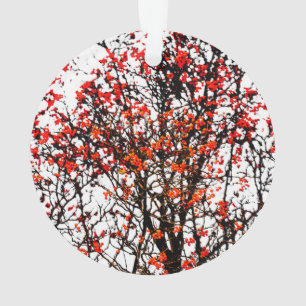 Adorno Fruta romana roja o bayas de ceniza