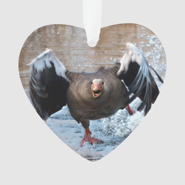 Adorno Ganso de ganso silvestre en la caza (Anverso)