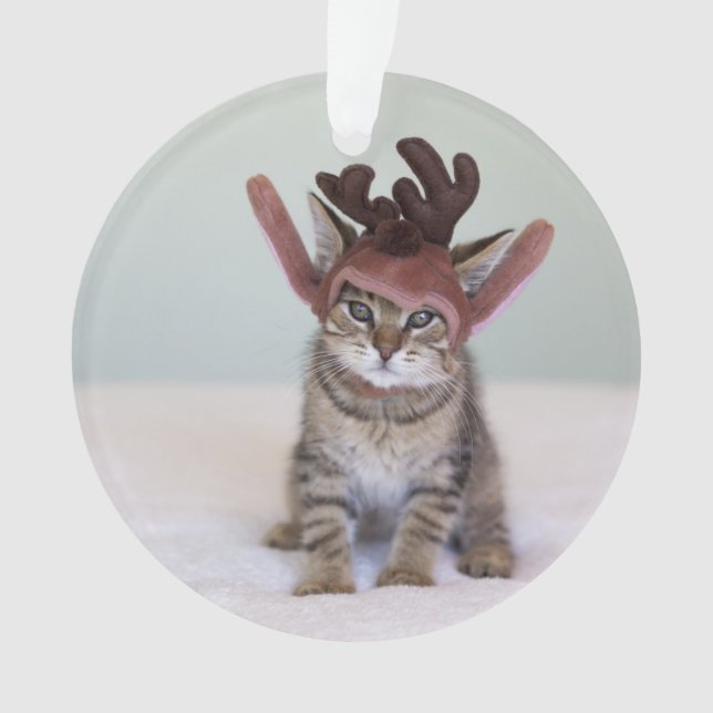 Adorno Gatito del navidad (Anverso)