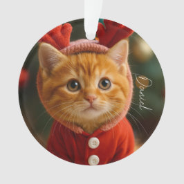Adorno Gatito Reno