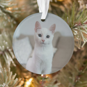 Adorno Gato blanco Zazzle_Growshop.