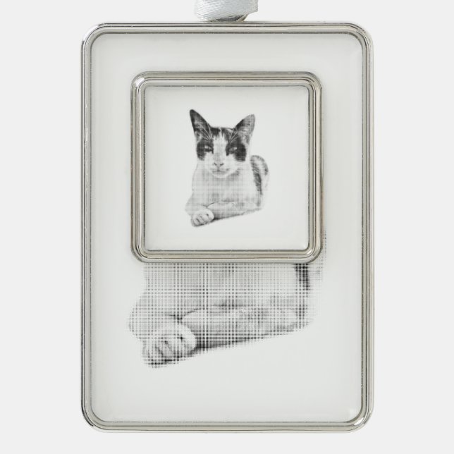 Adorno Gato Calico Cómic Semitono (Anverso)