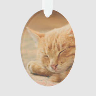 Adorno Gato de Tabby anaranjado el dormir