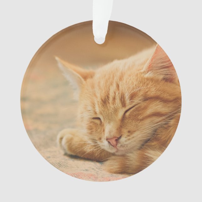 Adorno Gato de Tabby anaranjado el dormir (Anverso)