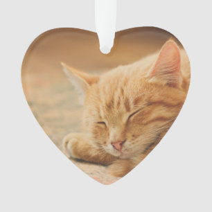 Adorno Gato de Tabby anaranjado el dormir