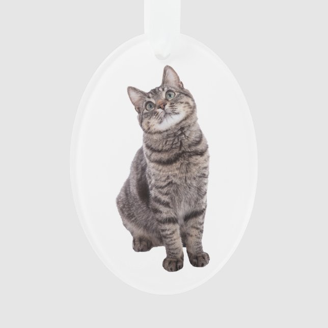 Adorno Gato de tabla de corte (Anverso)
