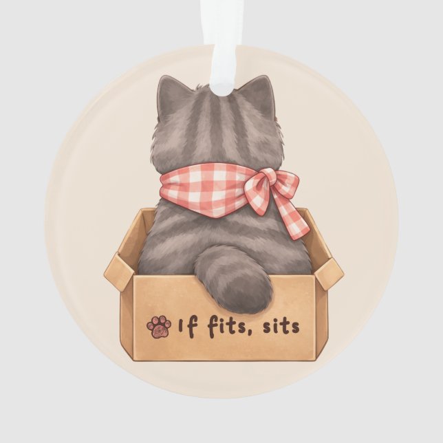 Adorno Gato en la caja (Reverso)