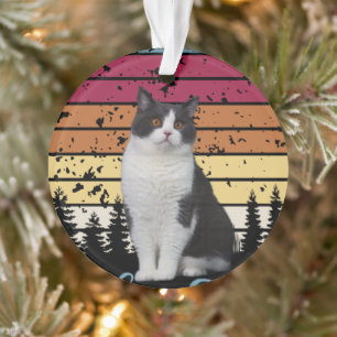 Adorno Gato encantador