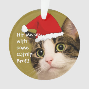 Adorno Gatos de Badass - "Catnip "
