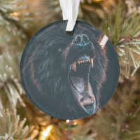 Gente de oso enojado joven de oso negro
