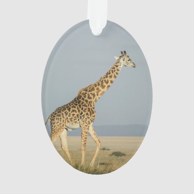 Adorno Giraffe (Reverso)