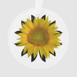 Adorno Girasol